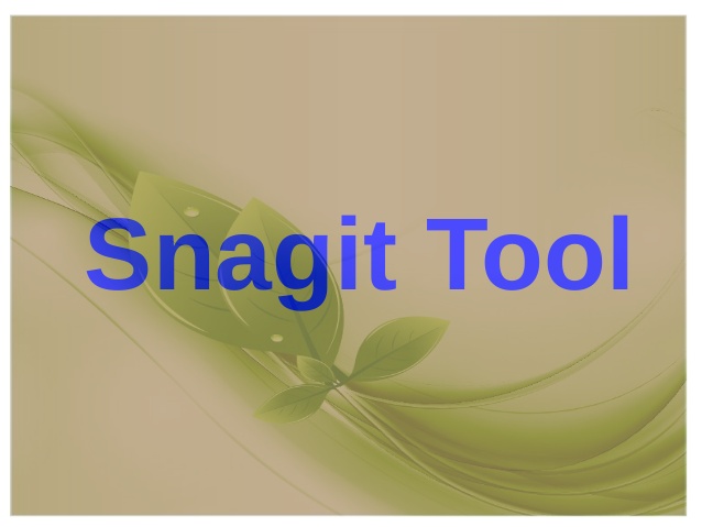 snagit how to use